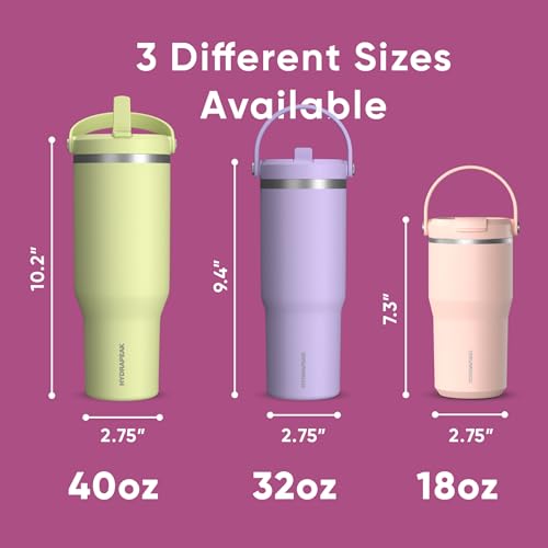 Hydrapeak Nomad 24 oz Tumbler with Handle and Straw Lid, Leakproof, Double Insulated, 24oz Cup Stainless Steel (Blush)