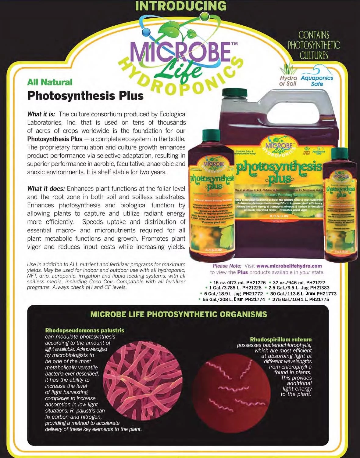 Microbe Life Photosynthesis Plus Pint