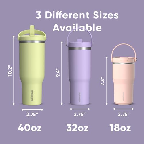 Hydrapeak Nomad 24 oz Tumbler with Handle and Straw Lid, Leakproof, Double Insulated, 24oz Cup Stainless Steel (Blush)