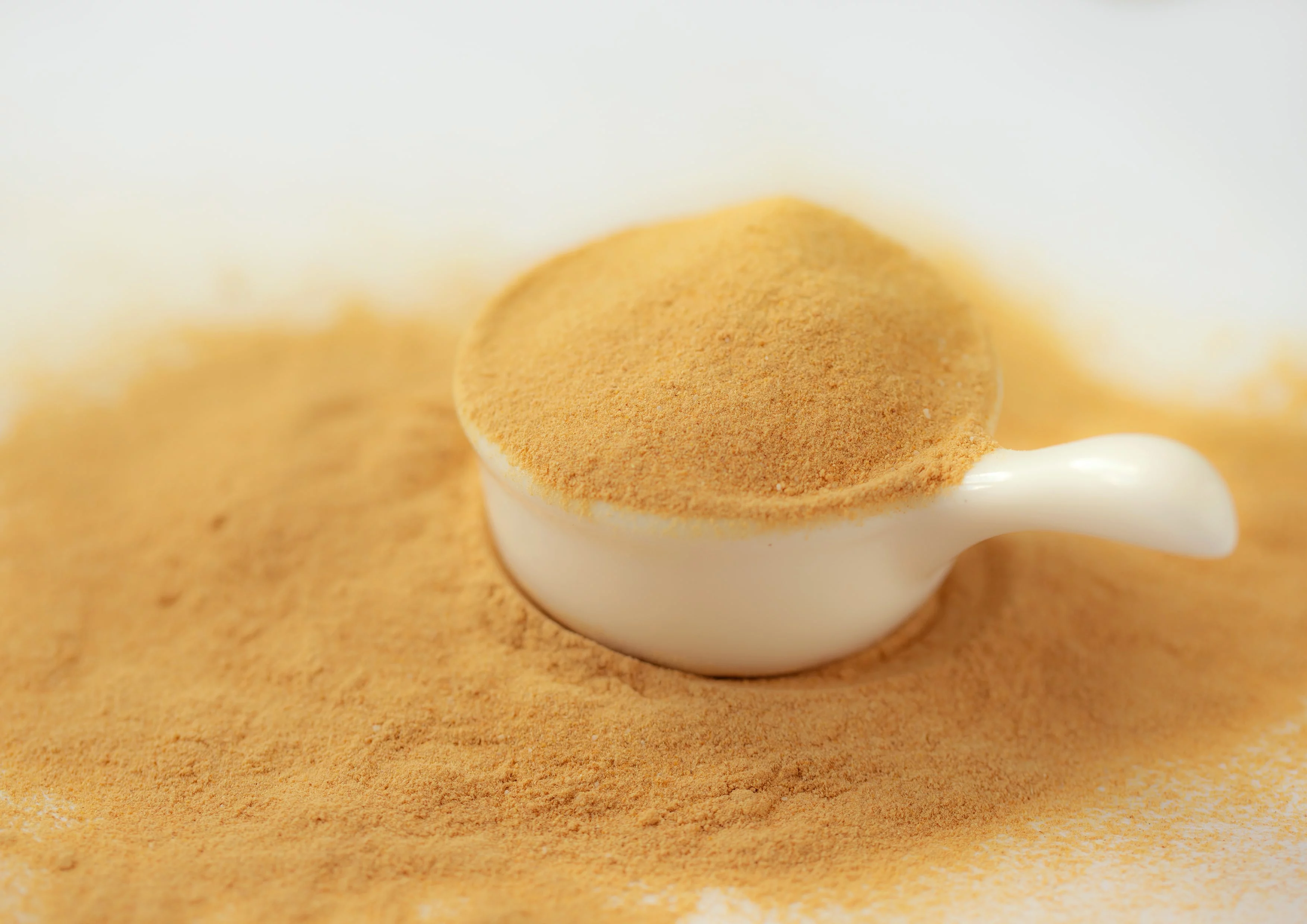 Papaya Powder, 1.5 Pounds — Raw, Kosher, Vegan — by Food to Live