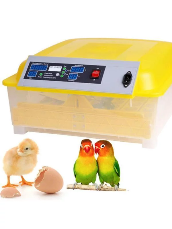 48 Egg Incubator,Automatic Digital Clear Egg Incubator Hatcher Egg auto Turning Temperature Control 80W US Plug Yellow RllYE