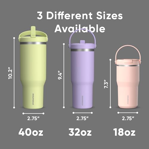 Hydrapeak Nomad 24 oz Tumbler with Handle and Straw Lid, Leakproof, Double Insulated, 24oz Cup Stainless Steel (Blush)