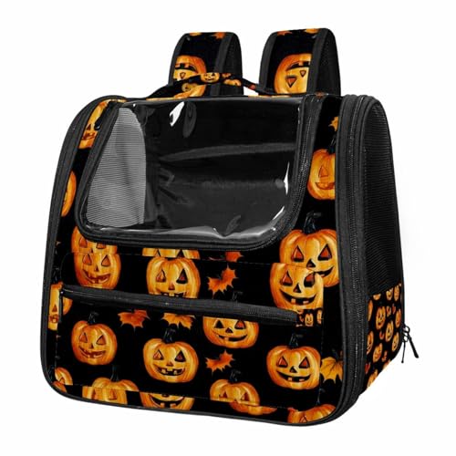 Halloween Pet Carrier Soft Sided Carrier for Small Medium Cats Dogs