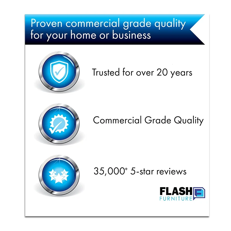 Flash Furniture High Back Black Mesh Ergonomic Swivel Office Chair with Black Frame and Flip-up Arms [HL-0016-1-BK-BK-GG]