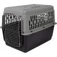 Aspen Pet Traditional Pet Porter, 40