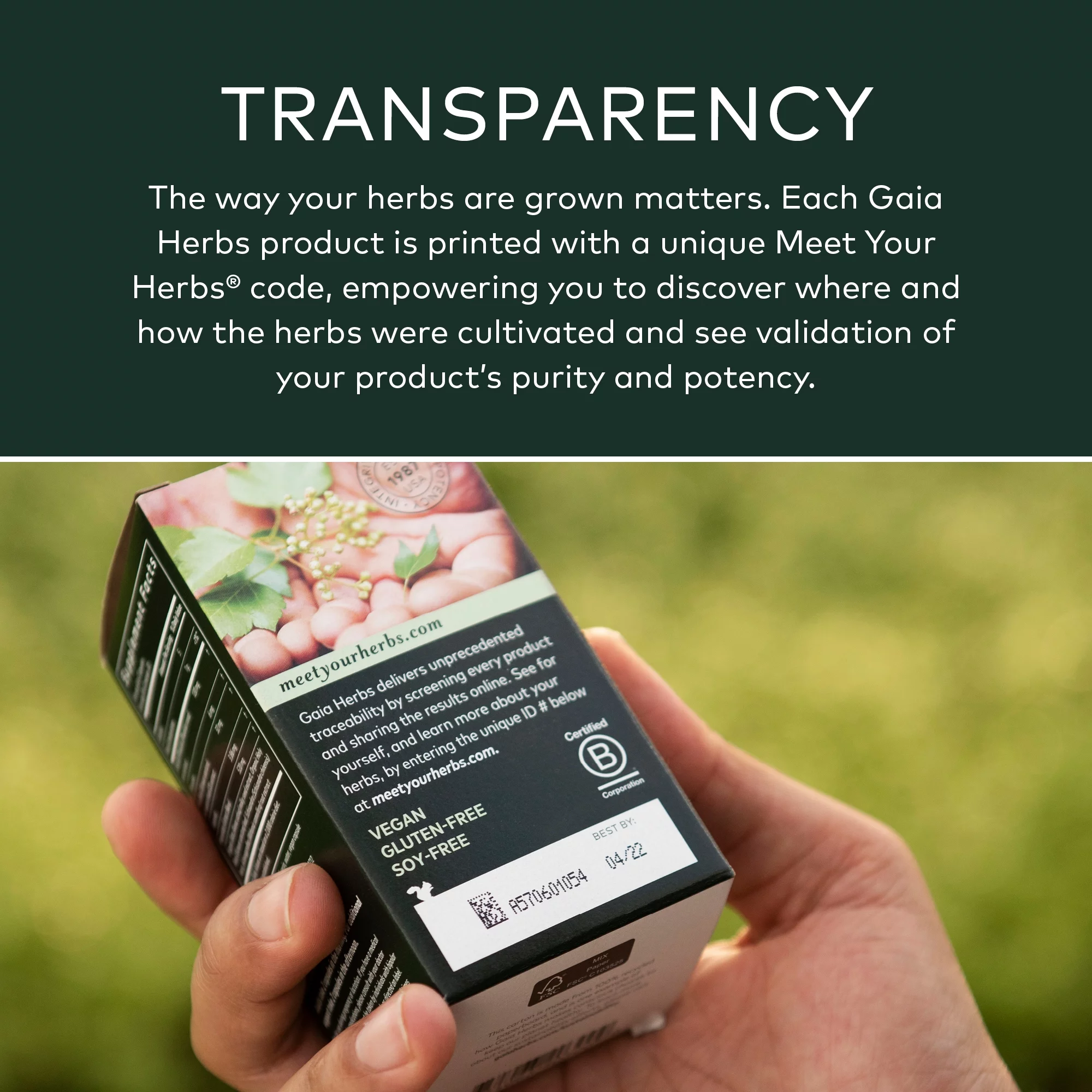 Gaia Herbs Ashwagandha Root - 60 Vegan Liquid Phyto-Caps (30-Day Supply)