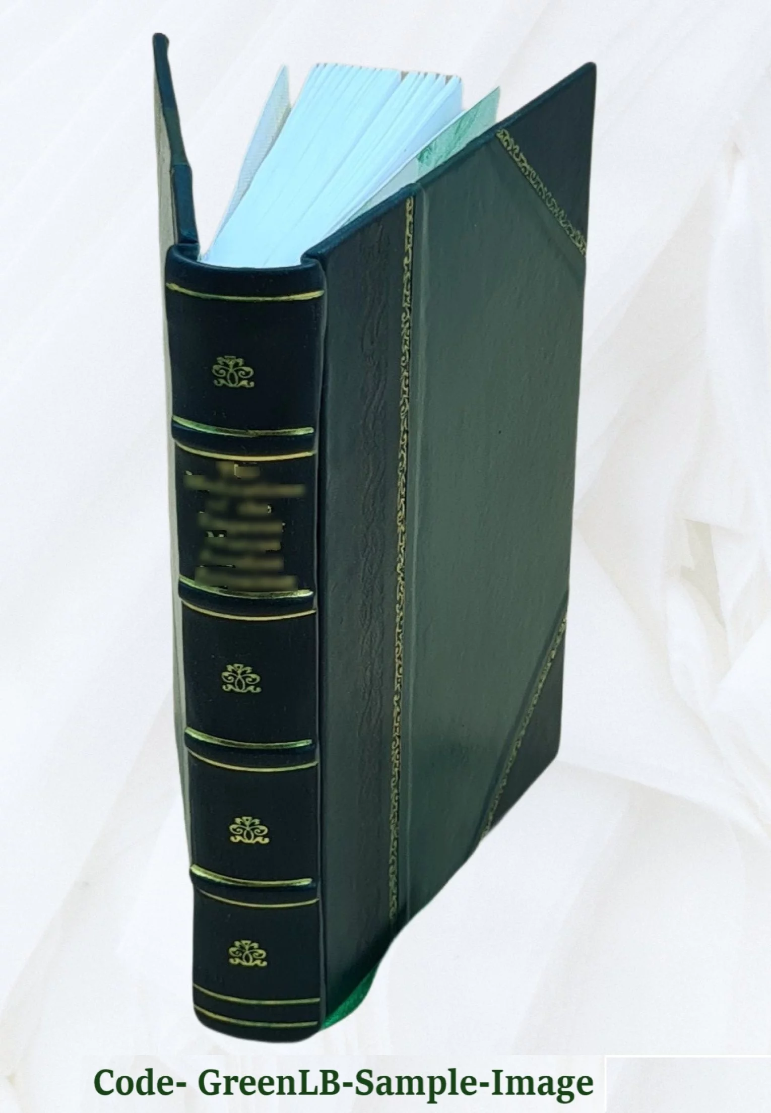 Defective eyesight : the principles of its relief by glasses / by D.B. St. John Roosa. 1899 [Leather Bound]