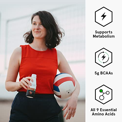 Soylent Complete Protein Shake, Chocolate, 30g Protein, Vegan, Dairy Free and 0g Sugar, Ready to Drink Protein Drinks, 11oz (12 Pack)