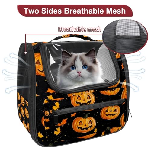 Halloween Pet Carrier Soft Sided Carrier for Small Medium Cats Dogs
