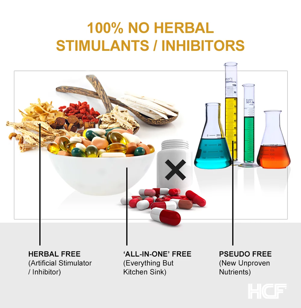 HCF Happy, Calm & Focused - Brain Focus, Attention, Concentration & Mood Supplement (3-Pack) - FQ Foundation Amino Acids, Vitamins & Minerals - 100% No Herbal Stimulants - Non-GMO Project Verified