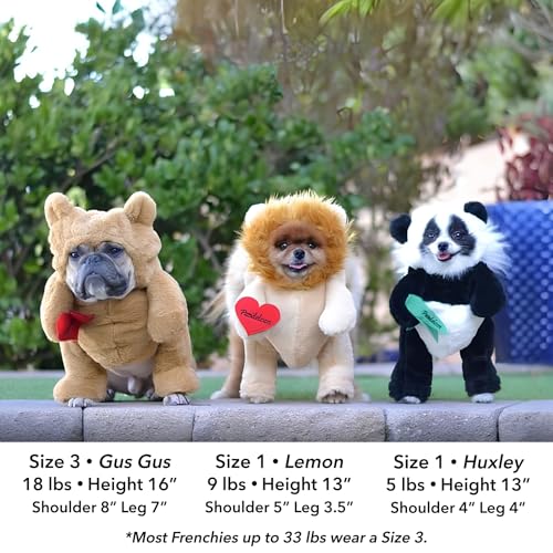 Pandaloon Dog Halloween Costume - As Seen on Shark Tank - Patented - Funny Costume with Arms for Small and Medium Dogs and Cats (Teddy Bear, Size 3(17-19 in Height at TOP of Head,Girth