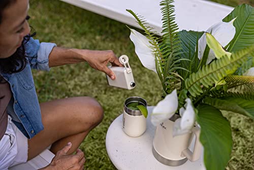 Stanley GO Everyday Wine Tumbler 10 oz | Press Fit Drink Through Lid | Beverage, Coffee, and Cocktail Cup | Insulated Stainless Steel Wine Glass | BPA-Free | Ash
