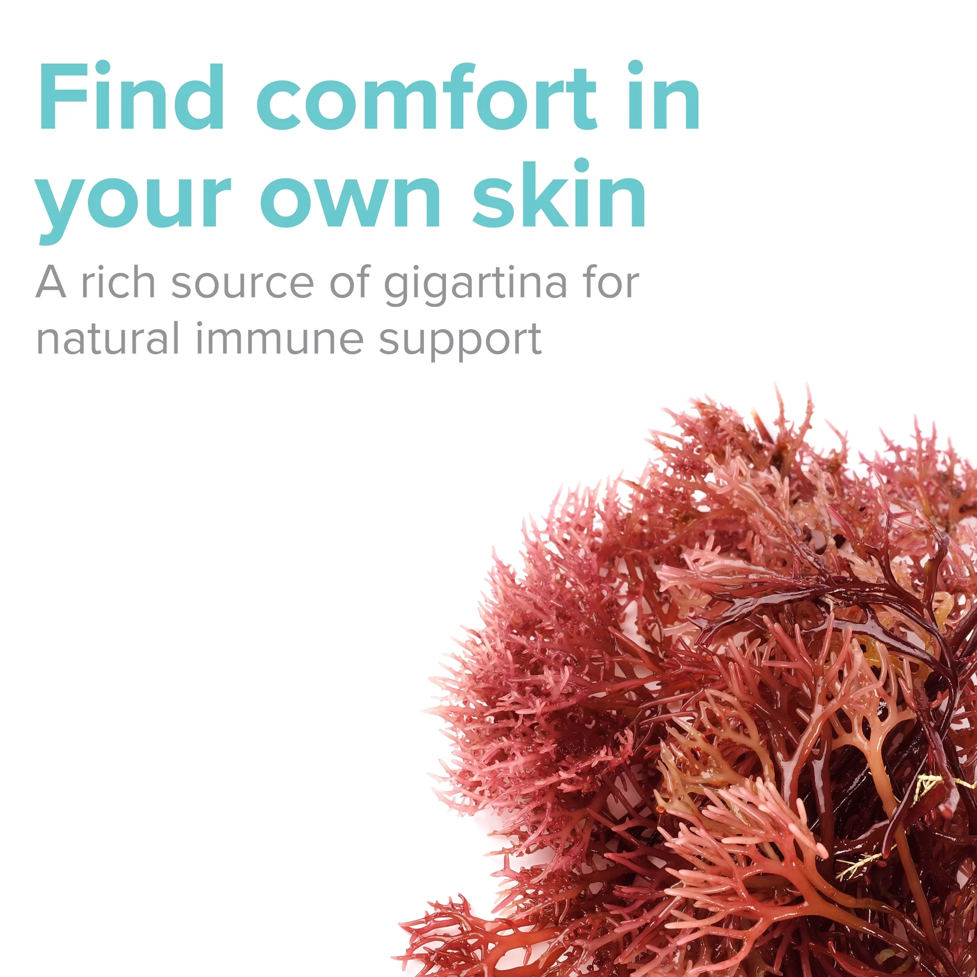 Gigartina RMA 250 mg, 120 count