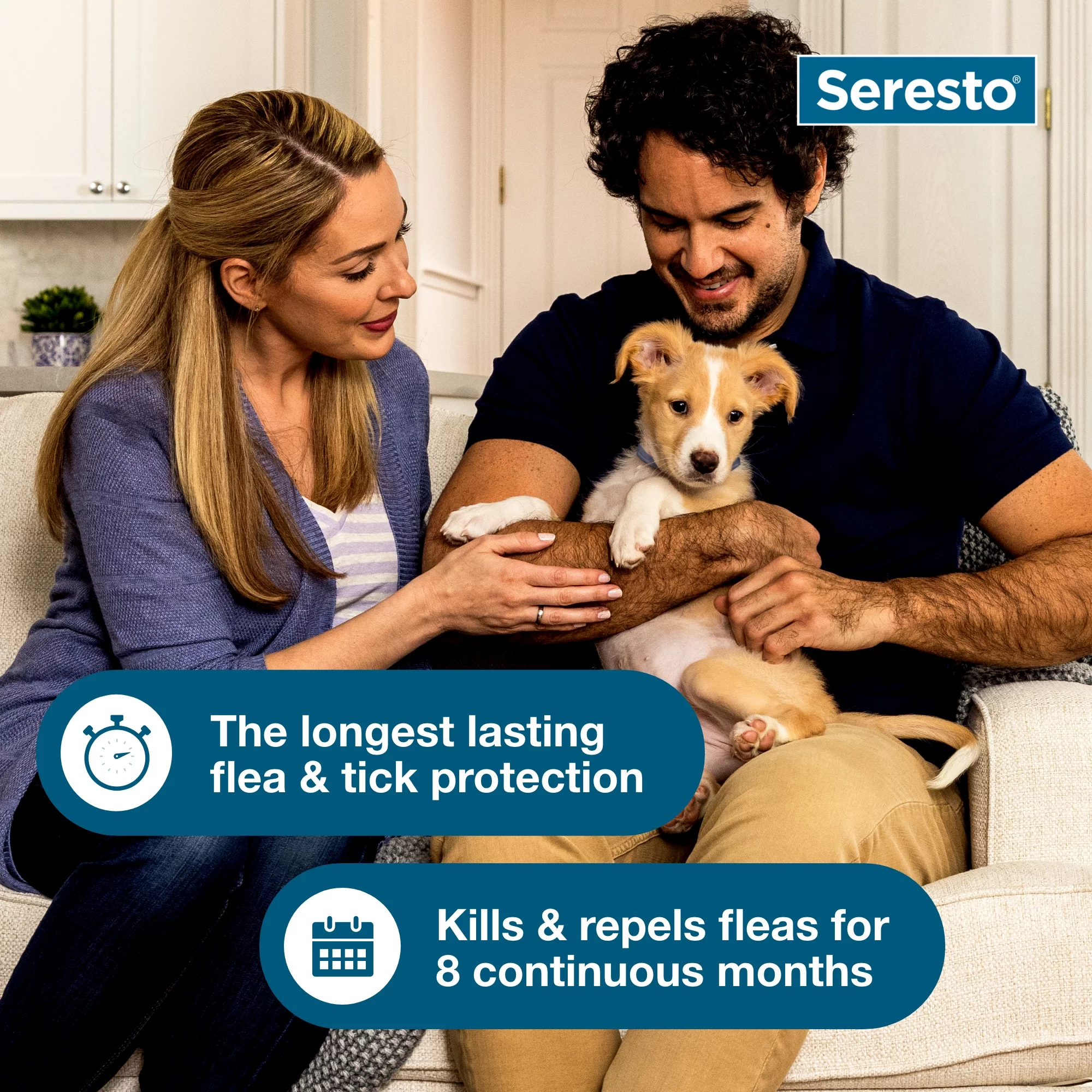 (2 pack) Seresto Large Dog Vet-Recommended 8-Month Flea & Tick Prevention Collar, 18+ lbs
