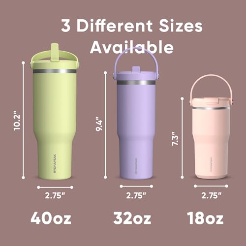 Hydrapeak Nomad 24 oz Tumbler with Handle and Straw Lid, Leakproof, Double Insulated, 24oz Cup Stainless Steel (Blush)