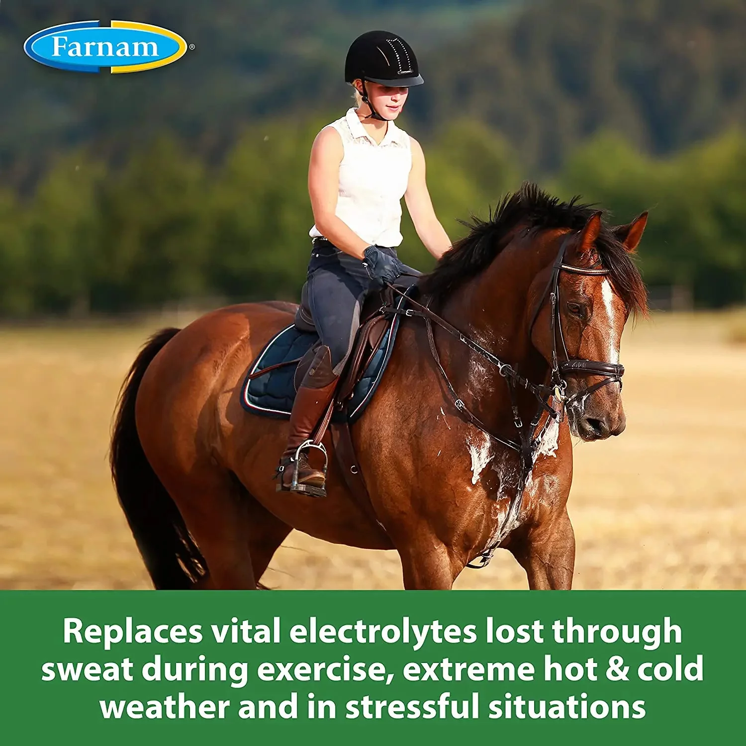 Farnam Apple Elite Electrolyte Pellets 7.5 Pounds, 40 Day Supply