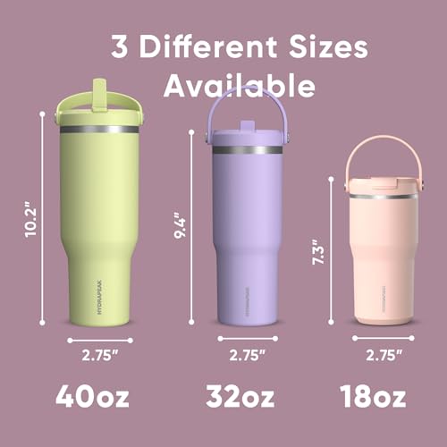 Hydrapeak Nomad 24 oz Tumbler with Handle and Straw Lid, Leakproof, Double Insulated, 24oz Cup Stainless Steel (Blush)