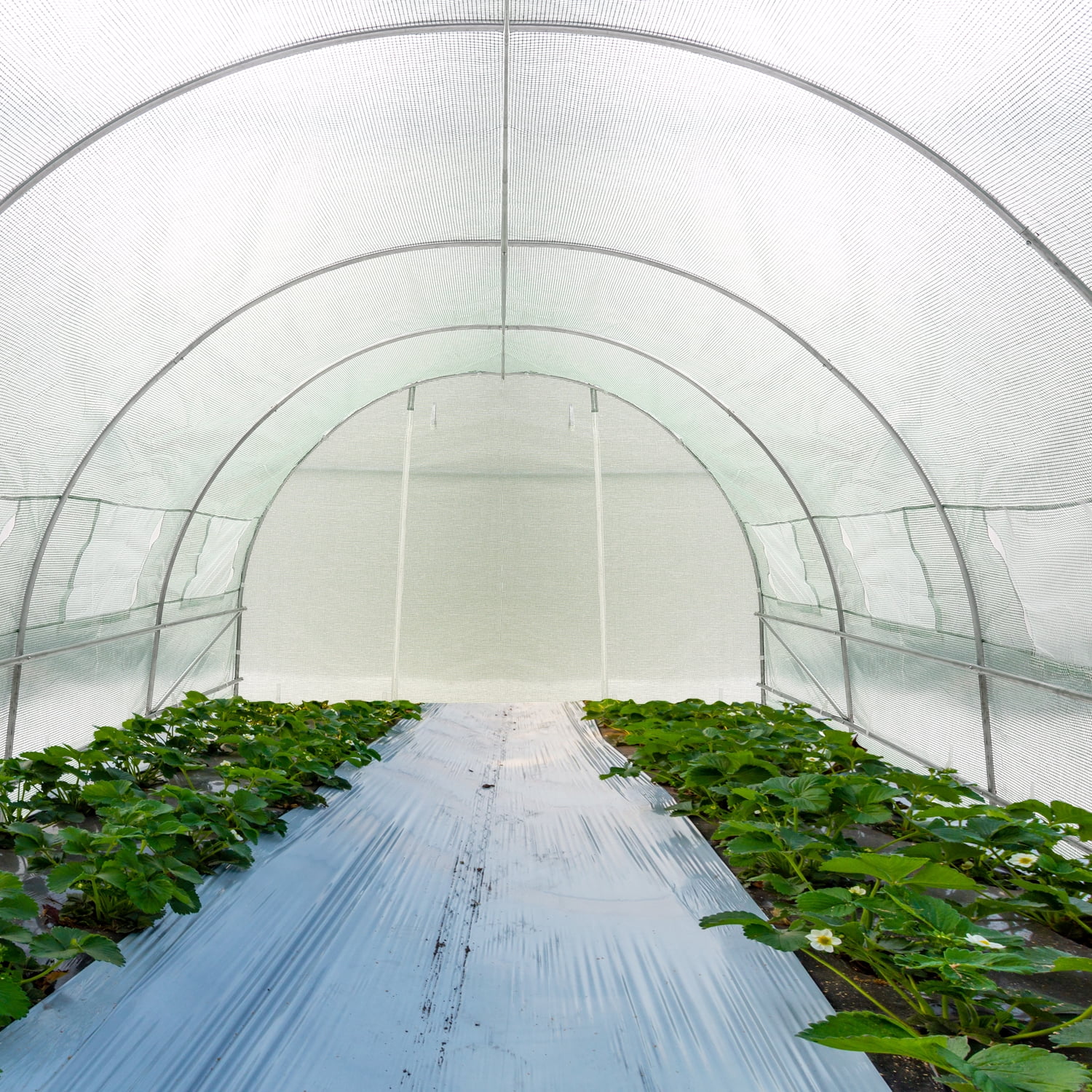 Outdoor Basic Patio Greenhouse Walk-in Green House 10'x20'x7' Portable Plastic Gardening Plant Hot Outdoor House, Four Rooms