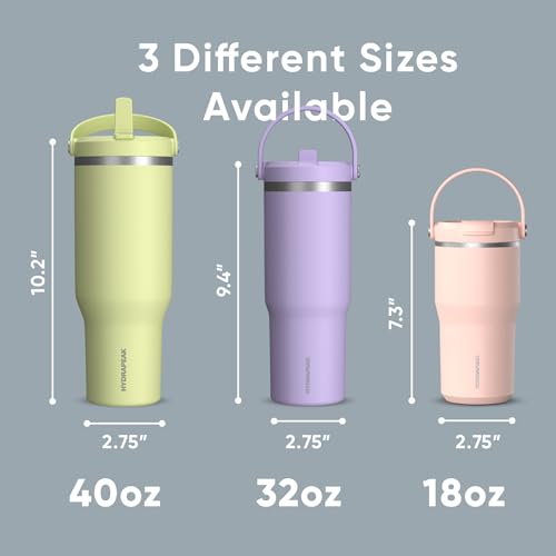 Hydrapeak Nomad 24 oz Tumbler with Handle and Straw Lid, Leakproof, Double Insulated, 24oz Cup Stainless Steel (Blush)