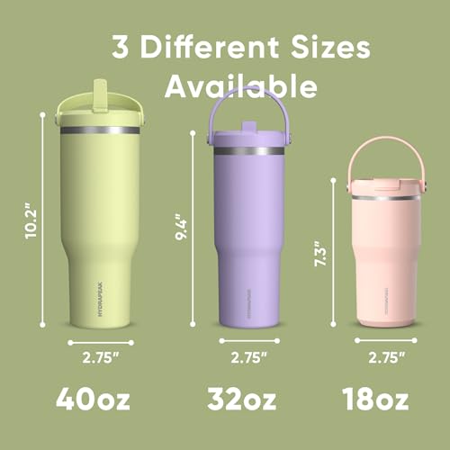 Hydrapeak Nomad 24 oz Tumbler with Handle and Straw Lid, Leakproof, Double Insulated, 24oz Cup Stainless Steel (Blush)