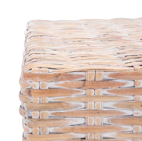 SAFAVIEH Home Collection Leary Coastal Natural White Wash Coffee Table