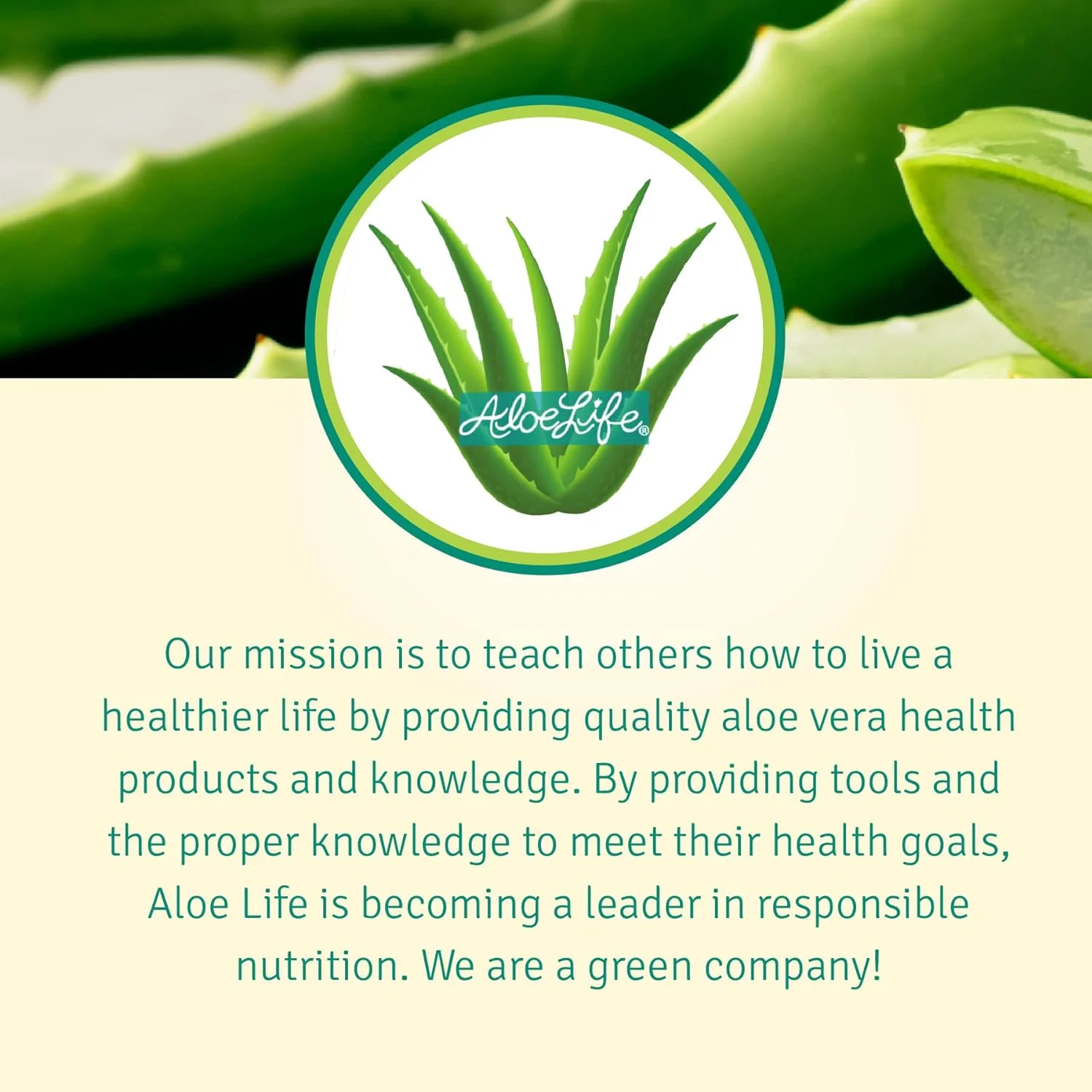 Aloe Life Aloe Life  Aloe Vera Juice Concentrate, 16 oz