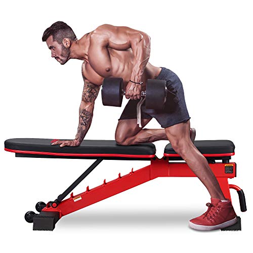 DERACY Adjustable Weight Bench for Full Body Workout, Incline and Decline Weight Bench for Indoor Workout, Home Gym