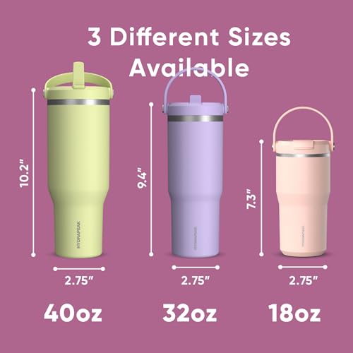 Hydrapeak Nomad 24 oz Tumbler with Handle and Straw Lid, Leakproof, Double Insulated, 24oz Cup Stainless Steel (Blush)