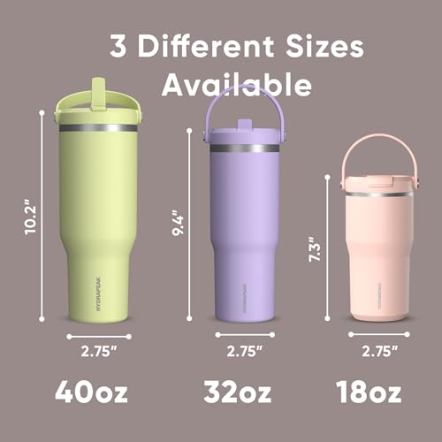 Hydrapeak Nomad 24 oz Tumbler with Handle and Straw Lid, Leakproof, Double Insulated, 24oz Cup Stainless Steel (Blush)
