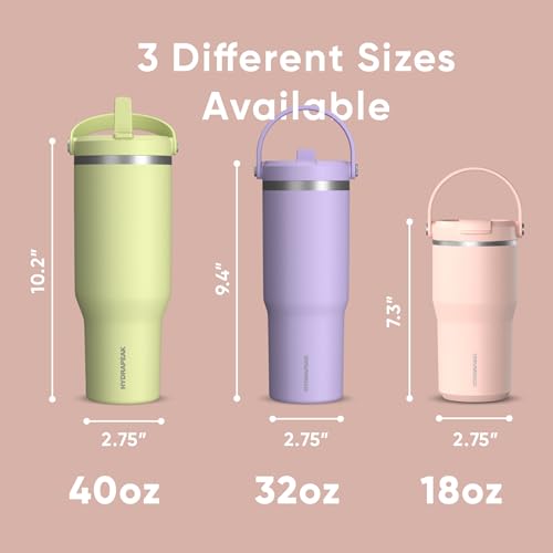 Hydrapeak Nomad 24 oz Tumbler with Handle and Straw Lid, Leakproof, Double Insulated, 24oz Cup Stainless Steel (Blush)