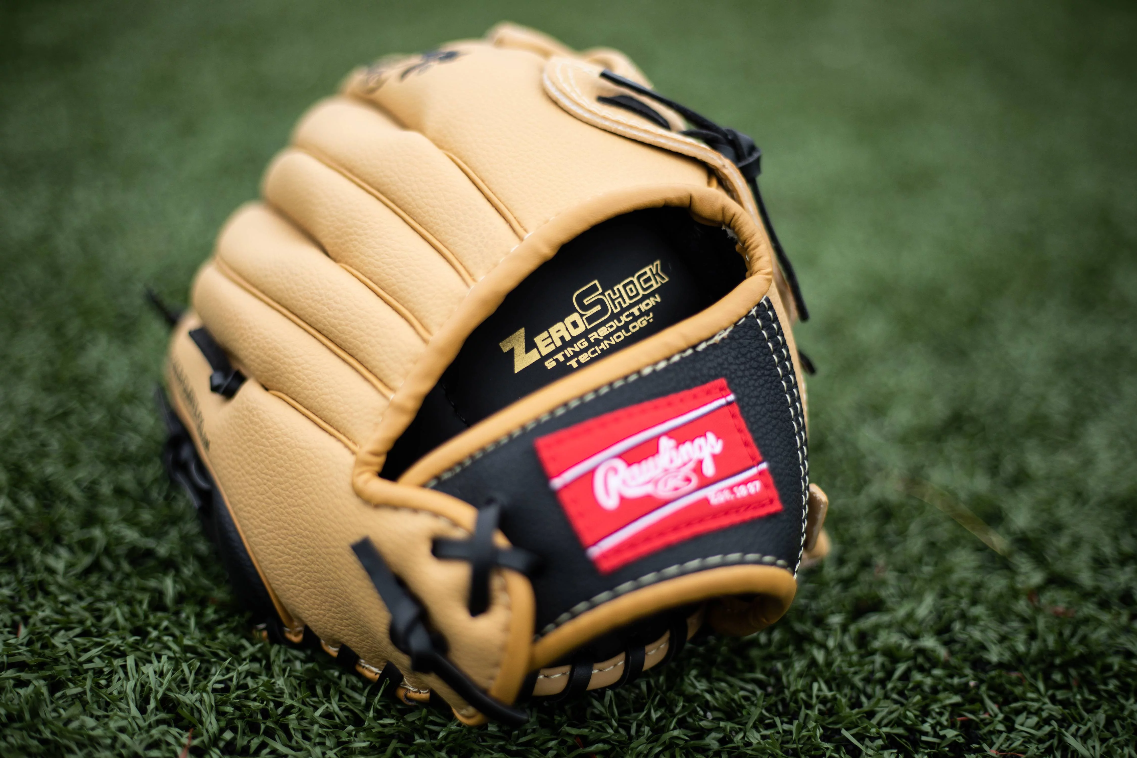 Rawlings Players 11.5-inch Glove | Right Hand Throw | All