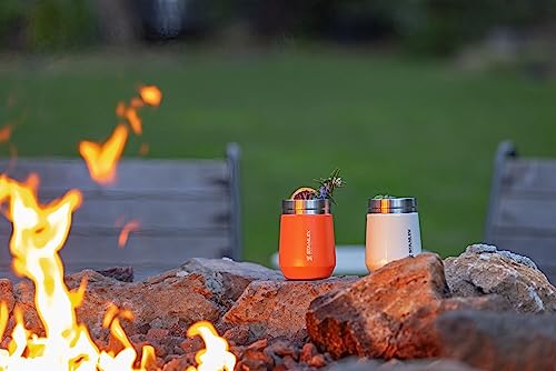 Stanley GO Everyday Wine Tumbler 10 oz | Press Fit Drink Through Lid | Beverage, Coffee, and Cocktail Cup | Insulated Stainless Steel Wine Glass | BPA-Free | Ash