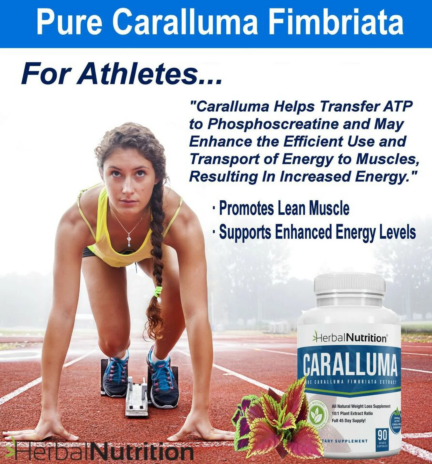 Best Caralluma Fimbriata Weight Loss Supplement 1200mg 10:1 Fat Burner Pill - 90 Capsules
