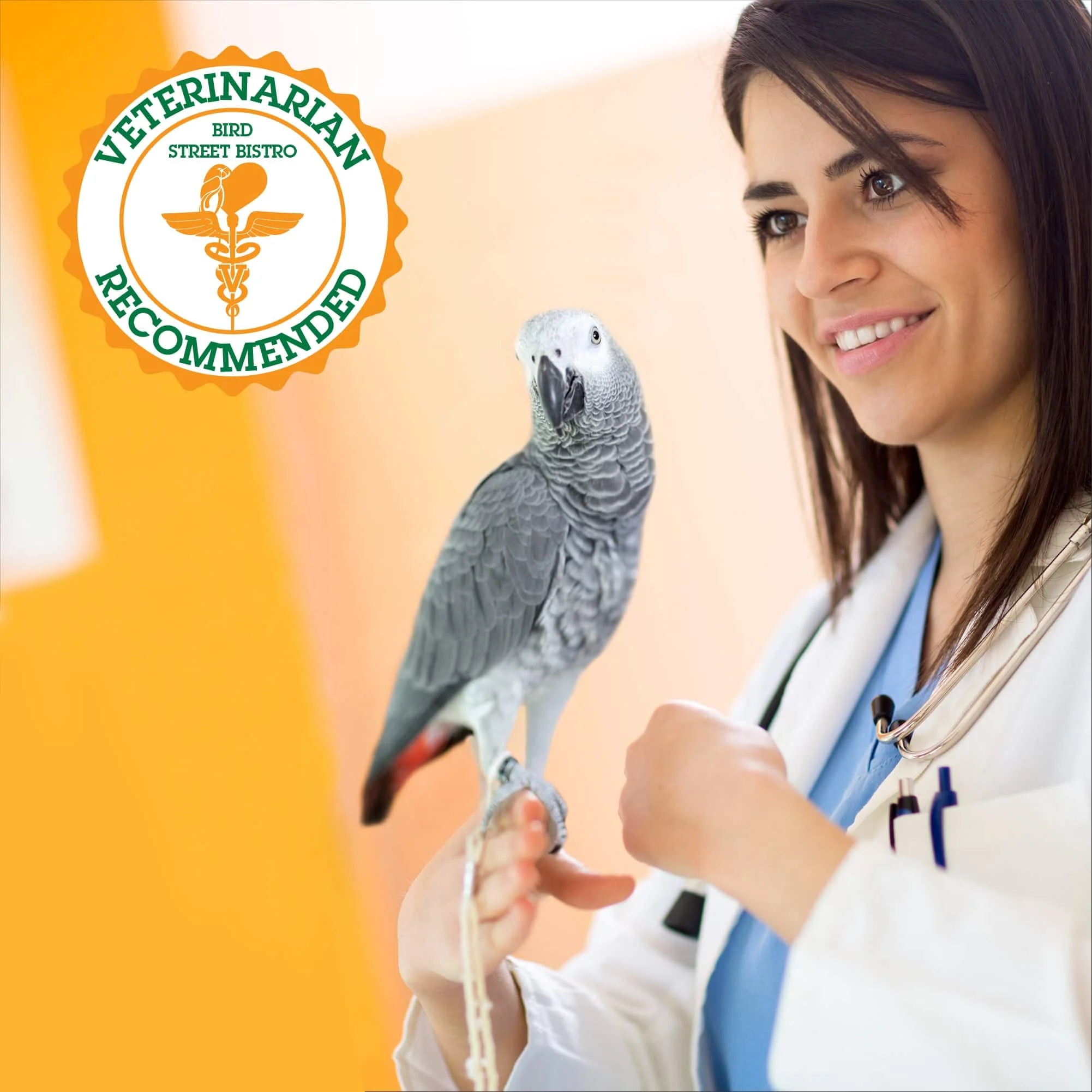 Bird Street Bistro Hearty Veggies Parrot Food Cooks in 3-15 Min Natural Grains