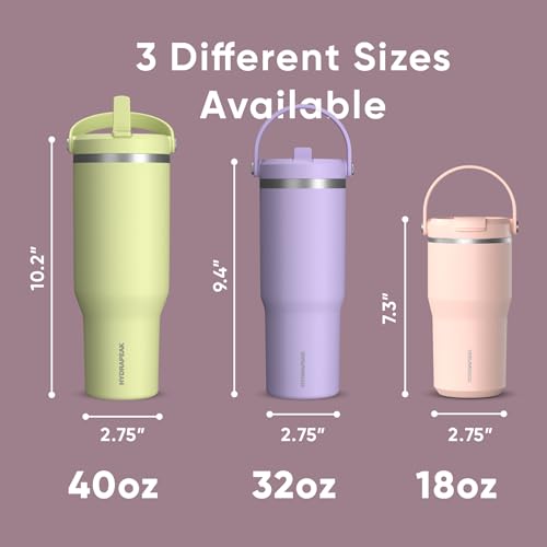 Hydrapeak Nomad 24 oz Tumbler with Handle and Straw Lid, Leakproof, Double Insulated, 24oz Cup Stainless Steel (Blush)