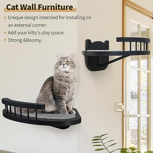 Wall-Mounted Cat Furniture - 2PCS Shelves and Perches With 3 Steps and Scratching Pad, Climbing Condo Fit for Cats Up to 15Lbs, Wood Hammock Mount (Black)