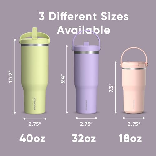 Hydrapeak Nomad 24 oz Tumbler with Handle and Straw Lid, Leakproof, Double Insulated, 24oz Cup Stainless Steel (Blush)