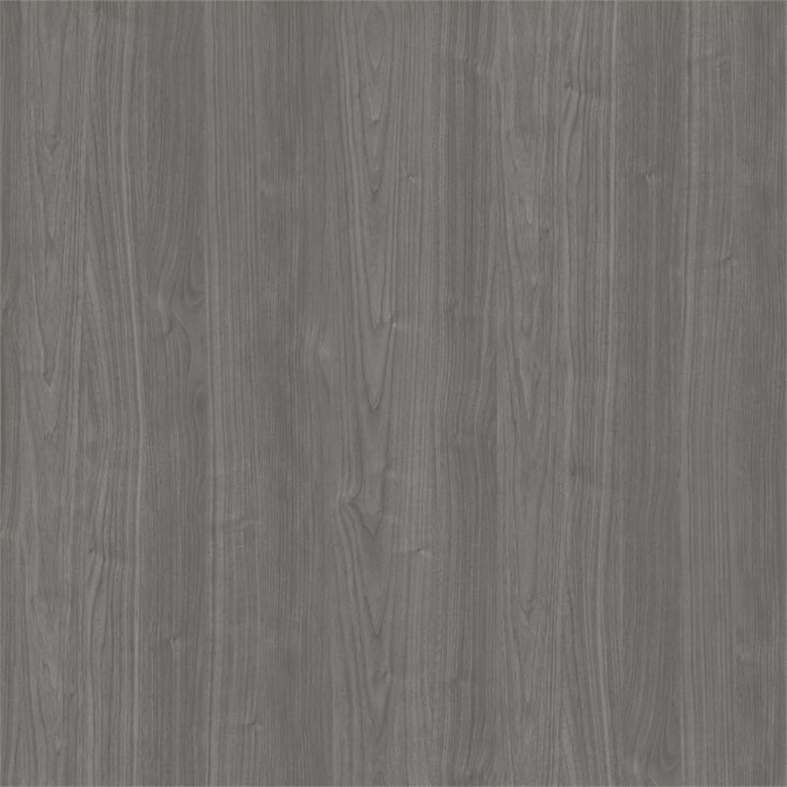 UrbanPro 60W Computer Desk with Hutch in Modern Gray - Engineered Wood