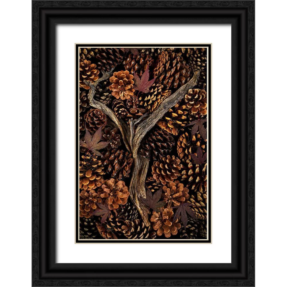 Jaynes Gallery 23x32 Black Ornate Wood Framed with Double Matting Museum Art Print Titled - Washington State-Seabeck Pine cones and fall leaves