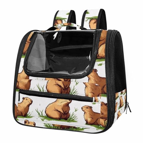 Halloween Pet Carrier Airline Approved Pet Carrier Bag Dog Carrier for Small Medium Cats Dogs Puppies Kitten