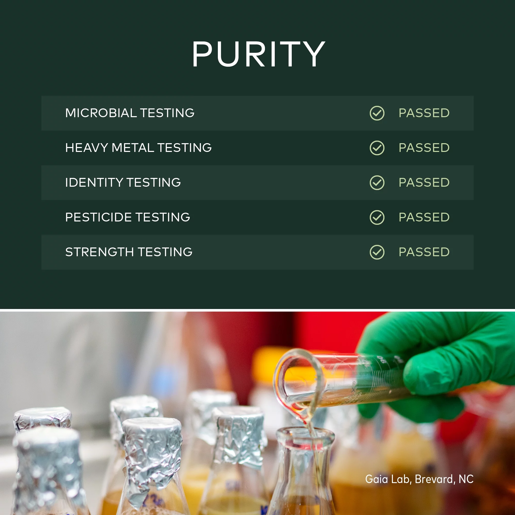 Gaia Herbs Ashwagandha Root - 60 Vegan Liquid Phyto-Caps (30-Day Supply)