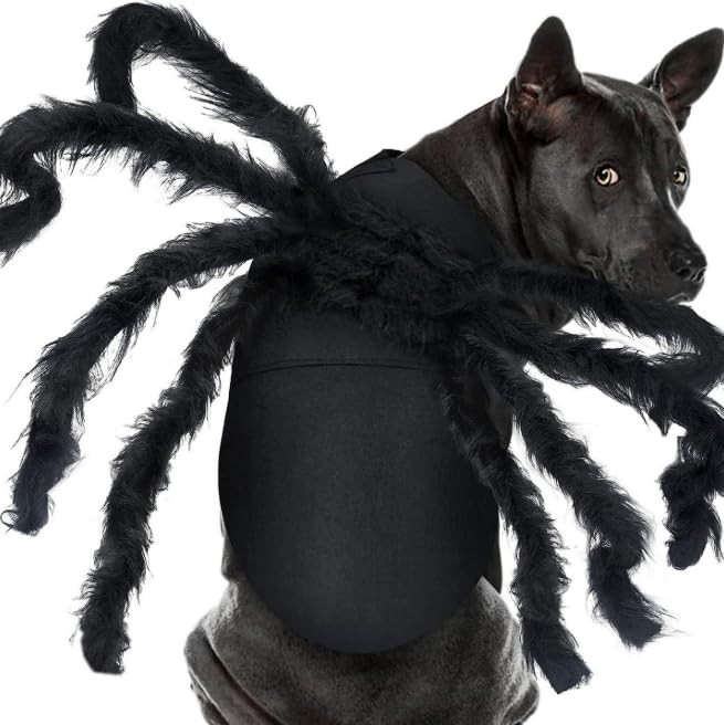 Pet Halloween Role-Playing Costumes, Spider-Decorated Straps (Luminous pet Spider, L(100cm)