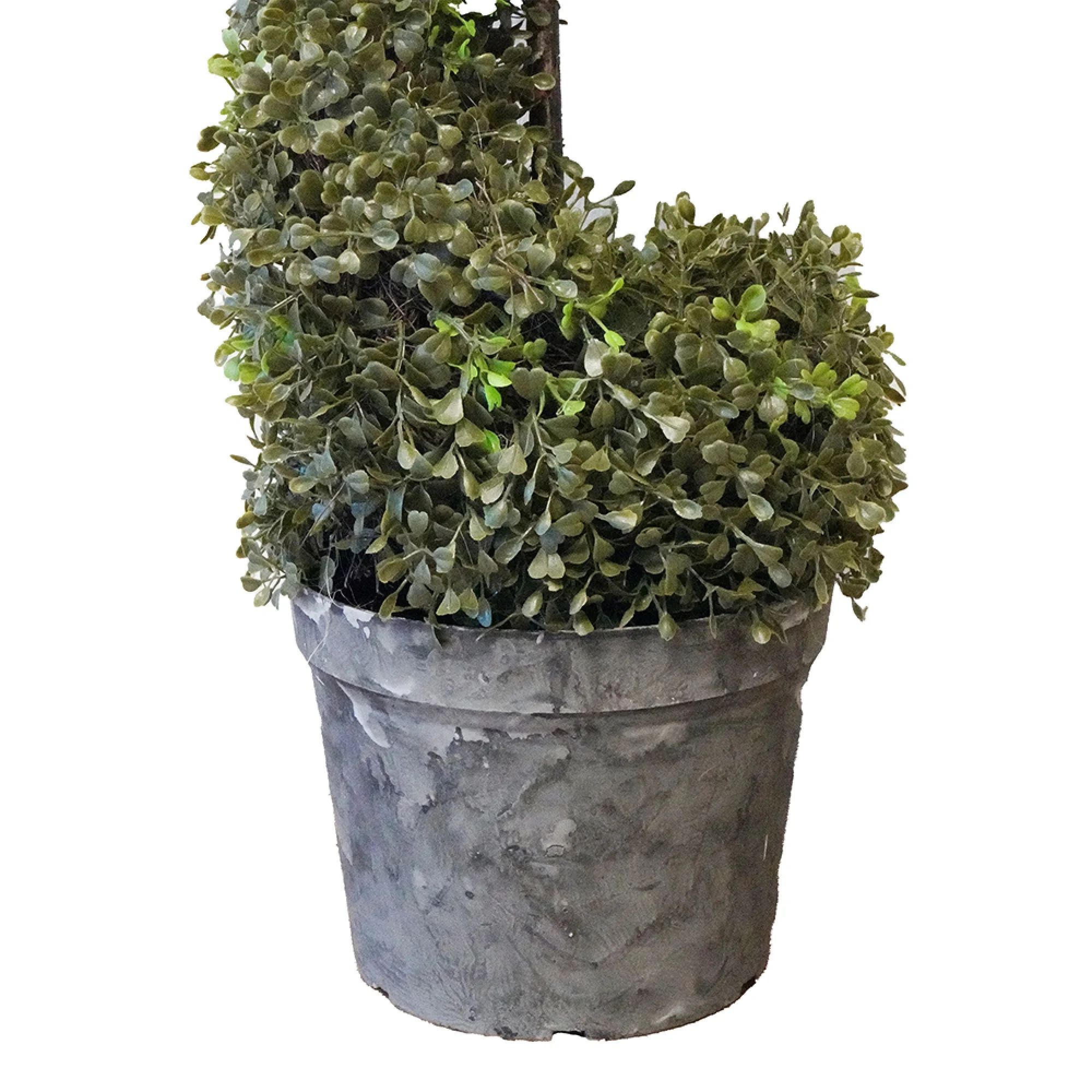 CC Home Furnishings Potted Spiral Boxwood Topiary Artificial Tree - 5'