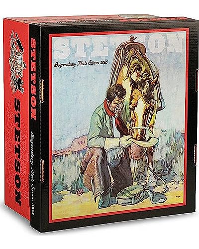 Stetson 7540 Skyline 6X Fur Cowboy Hat