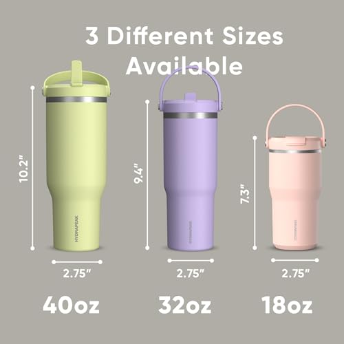 Hydrapeak Nomad 24 oz Tumbler with Handle and Straw Lid, Leakproof, Double Insulated, 24oz Cup Stainless Steel (Blush)