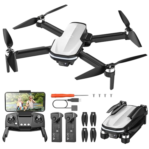 Holy Stone FPV Drone with 1080P HD Camera for Beginner Adults and Kids, HS280D Foldable RC Quadcopter with Brushless Motor, Optical Flow, Tap Fly, Voice Control, Gesture Selfie, 2 Modular Batteries