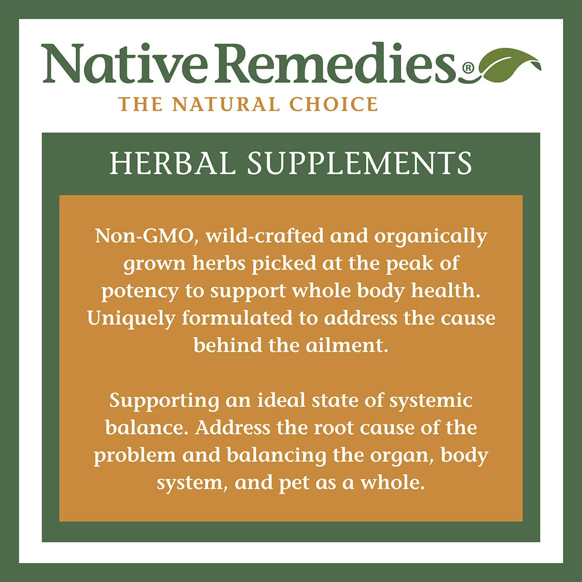 Native Remedies UTI-Clear Urinary Tract and Bladder Health Natural Herbal Supplement, 2-Pack