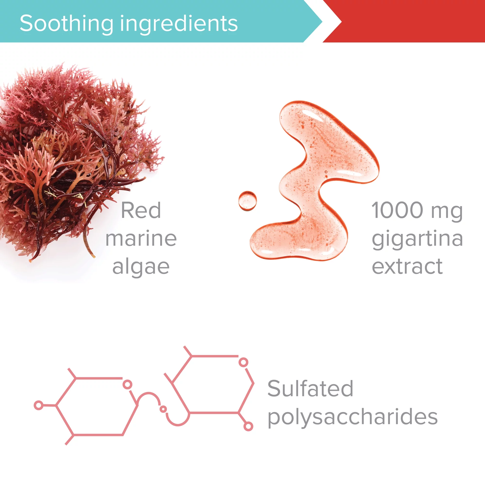 Gigartina RMA 250 mg, 120 count