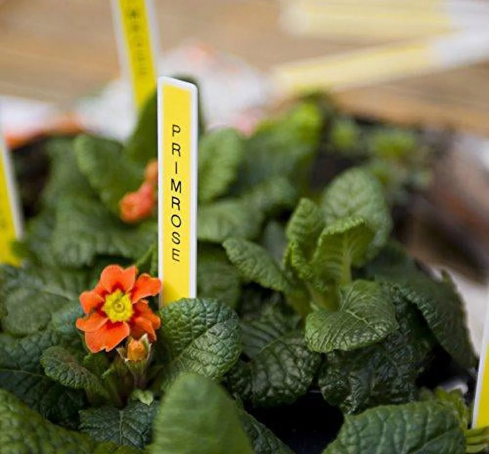 Brother P-touch, PT-D210, Easy-to-Use Label Maker, One-Touch Keys, White