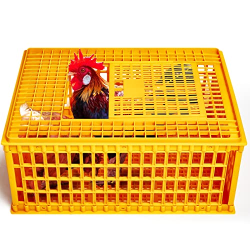 Poultry Carrier Crate Plastic Chicken Transport Cage Heavy Duty Chicken Crates and Cages Poultry Carrier Basket Box for Bird Duck Goose 13 Adult Chickens, 29.5 x 21.7 x 13 Inch